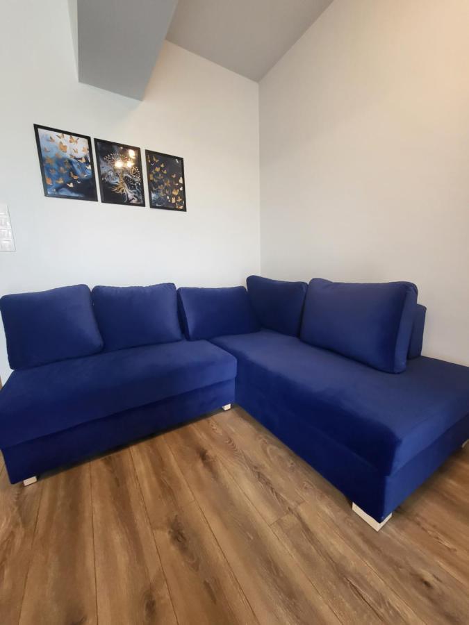 Nest Niebieski Zator Luaran gambar